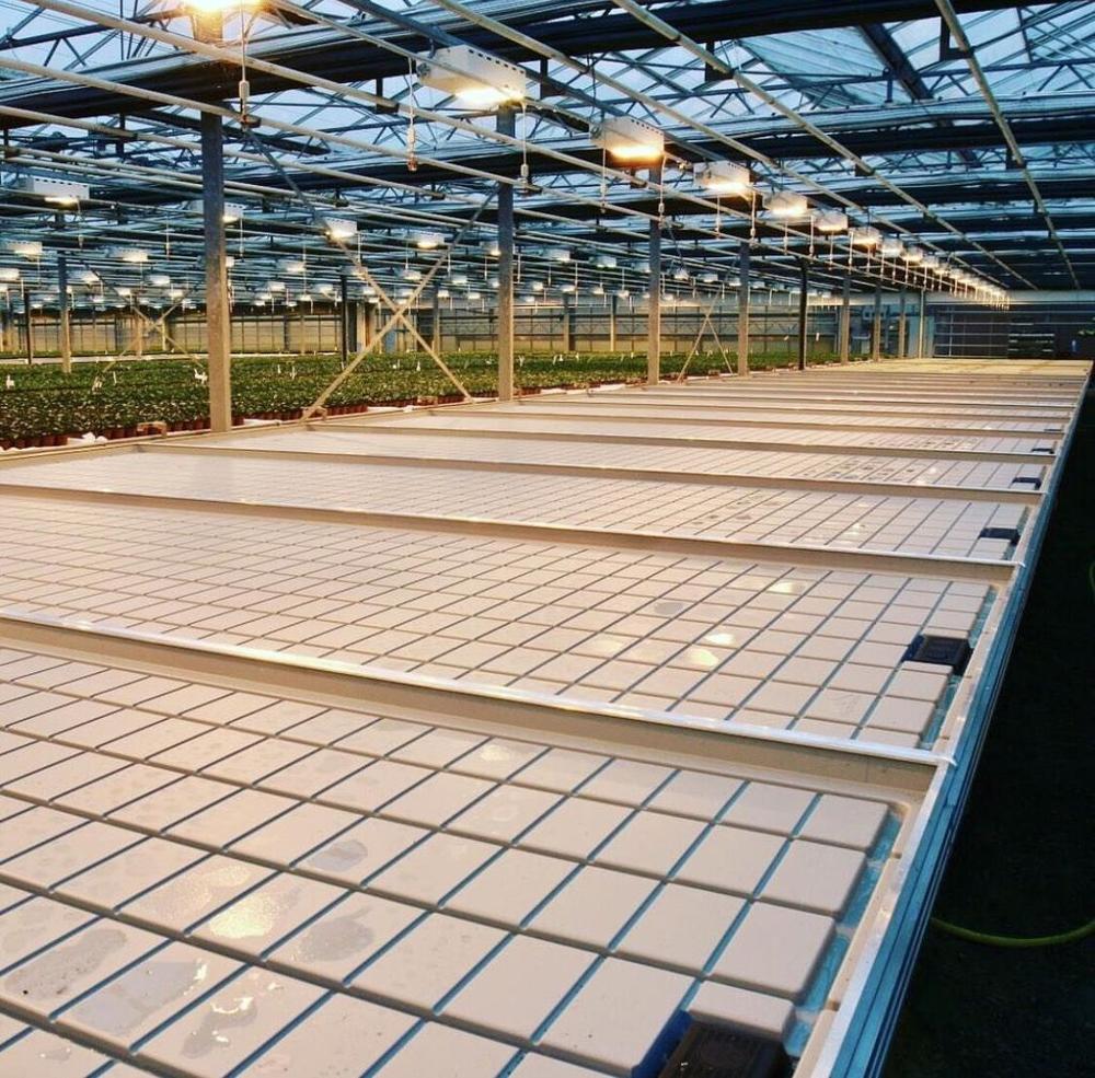 Ebb Flow Trays installed in greenhouse 2